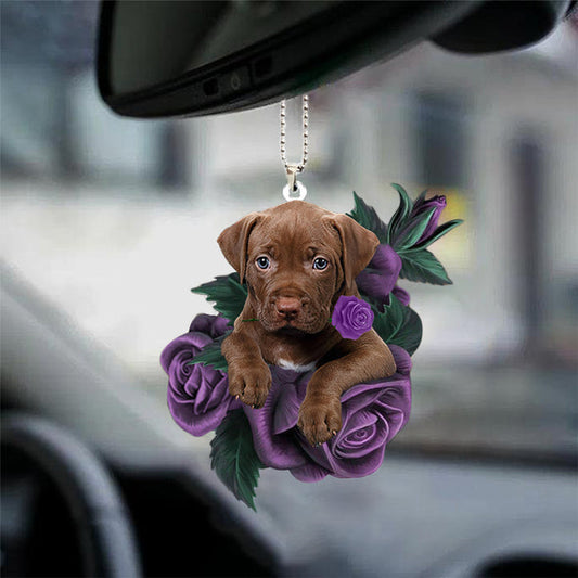 Ornement suspendu de voiture Pitbull 2 ​​en rose violette