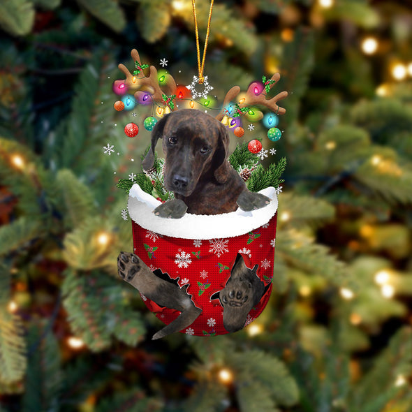 Plott Hound In Snow Pocket Christmas Ornament