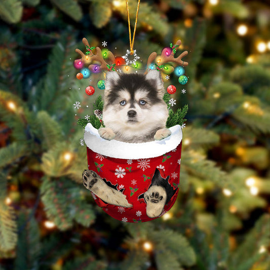 Ornement de Noël de poche Pomsky dans la neige 