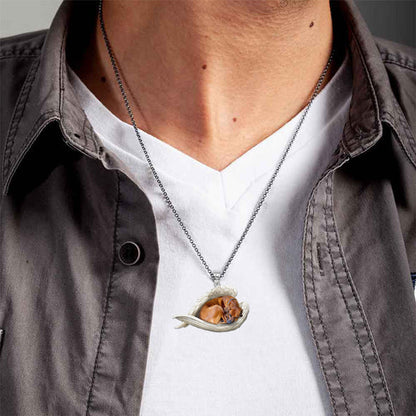 Collier en acier inoxydable Rhodesian Ridgeback Ange endormi