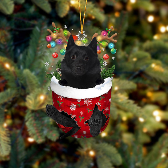 Schipperke In Snow Pocket Christmas Ornament