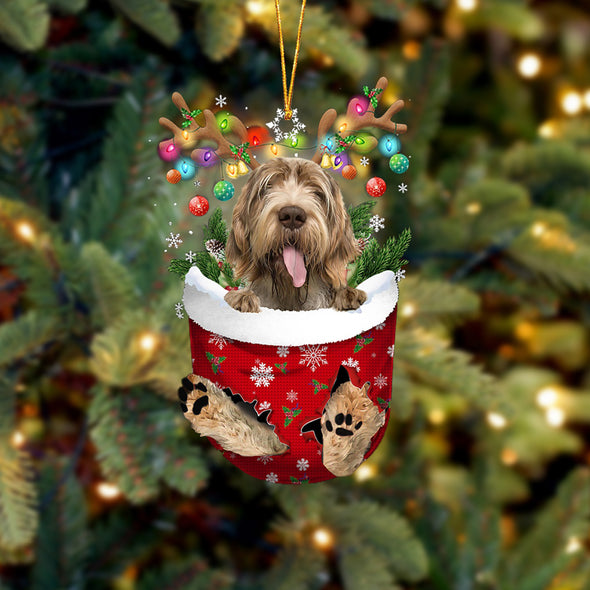 Spinone Italiano dans la décoration de Noël de poche de neige 