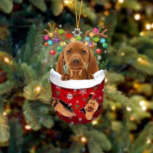 Vizsla dans la décoration de Noël de poche de neige 