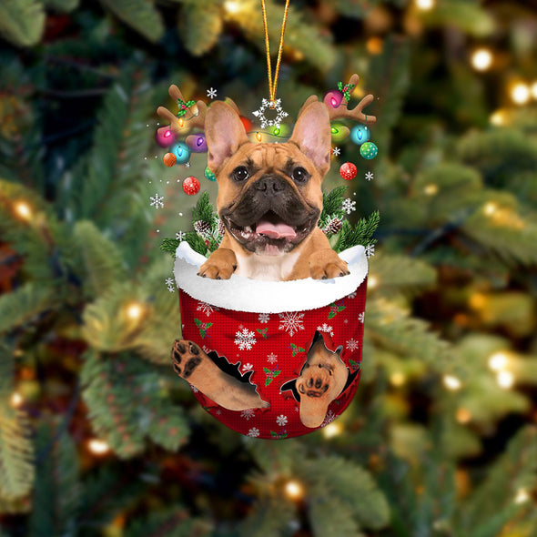 Bouledogue français marron dans la poche de neige Ornement de Noël 